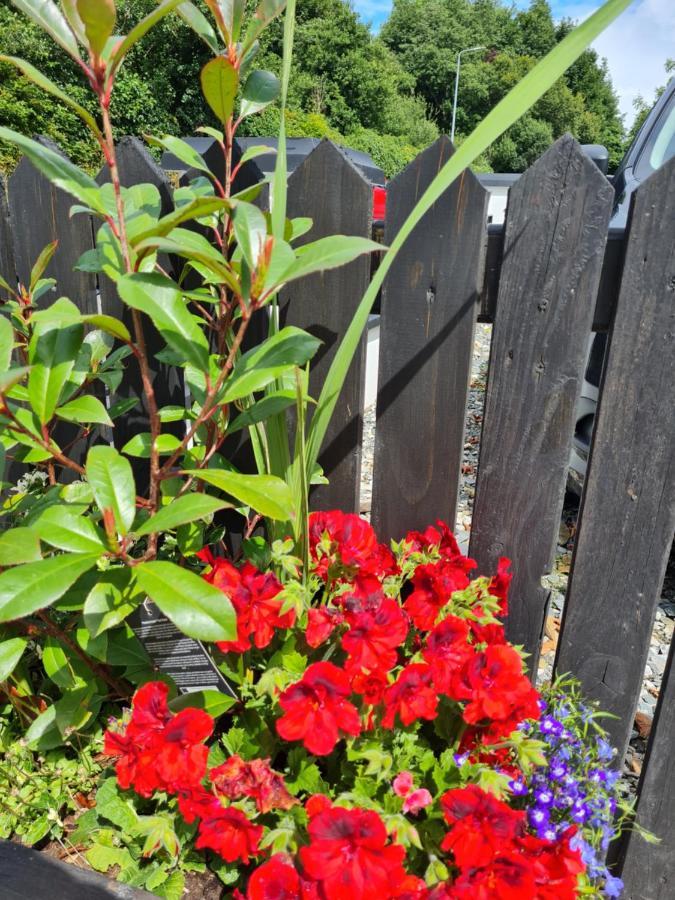 Kiltoy Cottage, Cosy 2 bedroomed Gate Lodge Cottage Letterkenny Exteriör bild